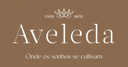 Catálogo de Natal de vinhos Aveleda. Preparados para 2022?