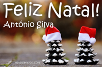 Postal de Feliz Natal para António Silva 🎄 (cinco postais com nome)