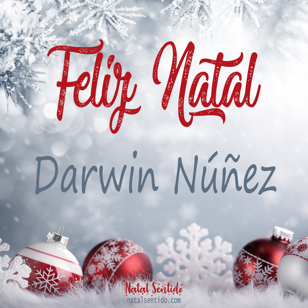 Postal de Feliz Natal com nome Darwin Núñez (imagem 02)